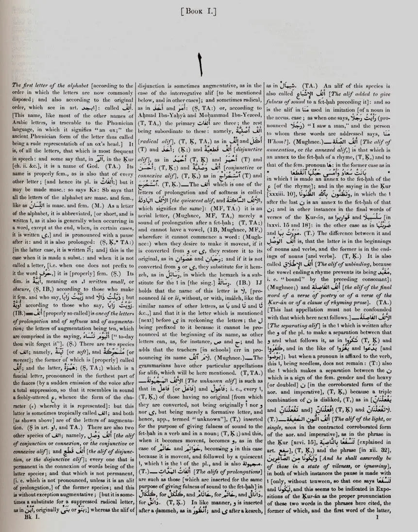 Arabic-English Lexicon: 2 Volumes Set By E. W. Lane