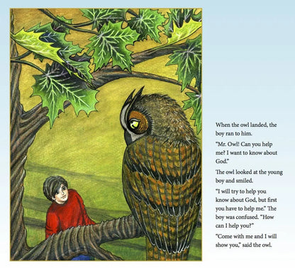 The Boy and The Owl